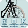 Tretwerk Aurora E Bike 28 Zoll Pedelec Damen Herren 155-185 Produktbild-Vorschau 7