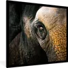 MuchoWow® Gerahmtes Poster Nahaufnahme eines Elefantenauges Produktbild-Vorschau 1