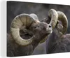 OneMillionCanvasses® - Leinwandbilder - 140x90 cm, Schaap - Produktbild-Vorschau 1