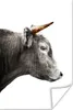 MuchoWow® Poster Schottisches Hochlandrind - Tiere - Kuh Produktbild-Vorschau 1