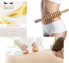 Maderotherapie Madero Treatment/ Therapie-Schulung mit  1 Produktbild-Vorschau 1