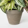 Mica Decorations Tradescantia - závesná umelá rastlina v Náhľad obrázku produktu 9