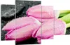 Bild auf Leinwand - Leinwandbild - Tulpen Tau Steine Produktbild-Vorschau 1