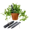 12 x Pflanzenschilder aus Schiefer L 14 cm - Kräuterstecker Produktbild-Vorschau 2
