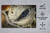 MuchoWow® Schreibtischunterlage Nahaufnahme Hawksbill-Auge Produktbild-Vorschau 2