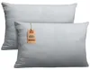 set di 2 copricuscini 100% cotone 40x60 cm grigio argento Anteprima dell’immagine prodotto 1