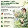 POWER HB-Nematoden gegen Dickmaulrüssler & Engerlinge, 5 Produktbild-Vorschau 6