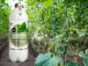 Naturdünger - Brennnessel Extra - 1L - Wachstumsfördernd - Produktbild-Vorschau 7