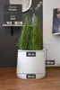 VIVANNO Blumentopf Fiberglas VEKRA Rund, Weiß matt - 55x50 Produktbild-Vorschau 4