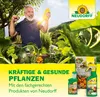 Neudorff Neudofix WurzelAktivator 40 g für 10L - 2 x 20g Produktbild-Vorschau 7
