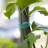 Rzep- taśma ogrodnicza 5m Gardlov 25362 Podgląd zdjęcia produktu 17