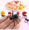 Ameisenfutter-Picks Wiederverwendbare Obst Dessert Gabel Produktbild-Vorschau 2