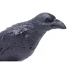 oiseau Raven junior 7,5 cm schwarz Voir les images du produit 2