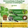POWER HB-Nematoden gegen Dickmaulrüssler & Engerlinge, 5 Produktbild-Vorschau 4