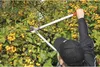 Felco 231 Getriebeastschere, Zweihand-Baumschere 80cm, für Anteprima dell’immagine prodotto 13