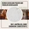 A marketing image for Kieselgur powder, featuring chickens and a close-up of the powder. Produktbild-Vorschau