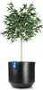 BigDean Blumentopf Style ø 46 cm anthrazit mit Produktbild-Vorschau 1