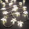 A string of star-shaped LED lights on a dark surface. Produktbild-Vorschau
