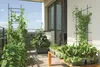 Rankgitter für Gartenpflanzen Rankhilfe Gartenstütze für Produktbild-Vorschau 5