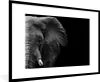 MuchoWow® Gerahmtes Poster Tiere - Elefant - Wild - Schwarz Produktbild-Vorschau 1