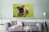 MuchoWow® Poster Boxerwelpe liegt im grünen Gras 120x80 cm Produktbild-Vorschau 5
