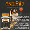 ARTIPET Gelenk-Supplement für Hunde & Katzen, 120 Produktbild-Vorschau 2