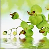 ARTland Glasbild Schöne Orchidee mit grünem Hintergrund Produktbild-Vorschau 1