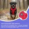 Reichstadt  RS Pets Hundegeschirr & Leinen Set 25RSP083-4 Produktbild-Vorschau 7