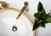 A top-down view of a white basin with a gold rim, a gold faucet, and a small green plant in a pot. Produktbild-Vorschau