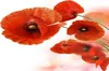 Tulup® Glas-Bild Wandbild aus Glas - 125x50 - Wandkunst - Produktbild-Vorschau 1