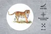MuchoWow® Mauspad Mousepad Tiger - Malerei - Gras 30x30 cm Produktbild-Vorschau 2