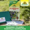 Neudorff Neudomon PflaumenmadenFalle Nachfüllpack 1 Stk. Produktbild-Vorschau 5
