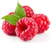 Teisseire Getränke-Sirup Raspberry/Himbeer 600ml - Intens. Produktbild-Vorschau 2