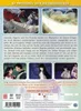 InuYasha - DVD Box 5 [5 DVDs] Produktbild-Vorschau 2