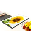 Piano cottura 40x52 Coperchio in Vetroceramica Paraspruzzi Anteprima dell’immagine prodotto 4