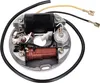 Statore alternatore 6V 17W in senso orario per Puch Maxi Anteprima dell’immagine prodotto 1