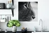 MuchoWow® Poster Tierprofil Löwe in schwarz und weiß 50x50 Produktbild-Vorschau 3
