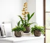 Dehner Übertopf Romaine, bauchige Form, Indoor Blumentopf, Produktbild-Vorschau 4