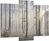 Bild auf Leinwand - Leinwandbild - Wald Baum Natur - Produktbild-Vorschau 1