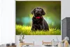 MuchoWow® - Selbstklebend - Fototapeten Produktbild-Vorschau 2