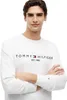 TOMMY HILFIGER TOMMY LOGO SWEATSHIRT Biela Náhľad obrázku produktu 11