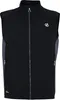 Dare 2B - "Lattitudinal II" Weste für Herren RG11119 (3XL) Produktbild-Vorschau 1