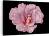 Bild auf Leinwand - Leinwandbild - 3 Teile - Hibiskus Blume Produktbild-Vorschau 1