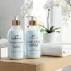 Ensemble shampooing et après-shampooing GHK-Cu - Peptides Voir les images du produit 7