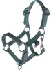 HKM Kids Halfter und Strick Hobby Horsing Basic Türkis Anteprima dell’immagine prodotto 2