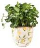 Clayre & Eef Pot de fleurs Ø 18x17 cm Jaune Céramique Voir les images du produit 2