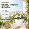 Blumentopf Hängeampel Lea Weiß Ø ca. 25 cm Produktbild-Vorschau 2