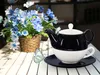 Buchensee Tea for one Set / Teeset Lena, Teekanne 500ml, Produktbild-Vorschau 2