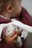 Plüschtier Hase mit Quieker Produktbild-Vorschau 7