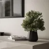 TV-Schrank CARMEN 250, hängend, Kaschmir/glänzender Produktbild-Vorschau 7